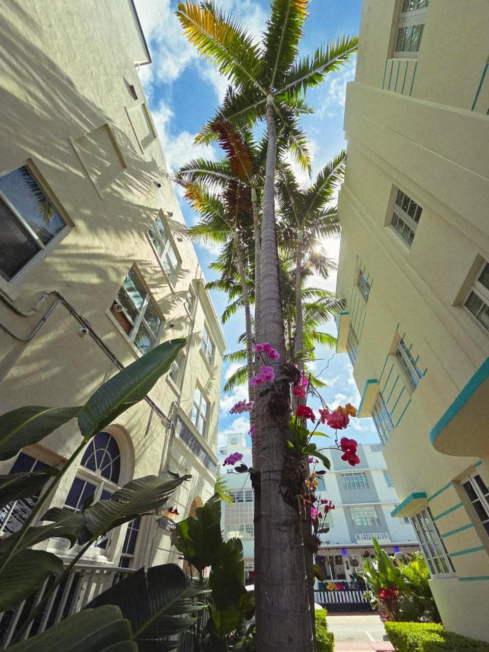 Luxuri Suites Miami Beach Exterior foto